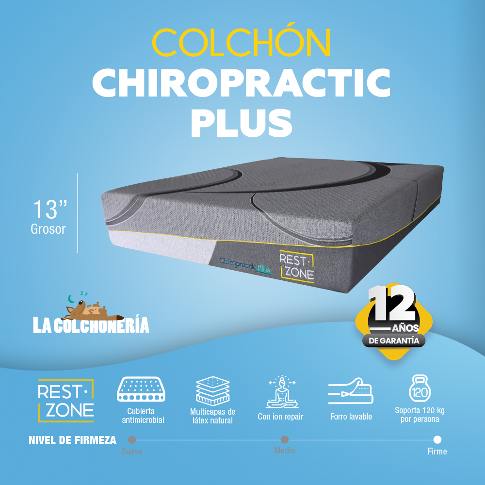 Chiropreactic Plus copy