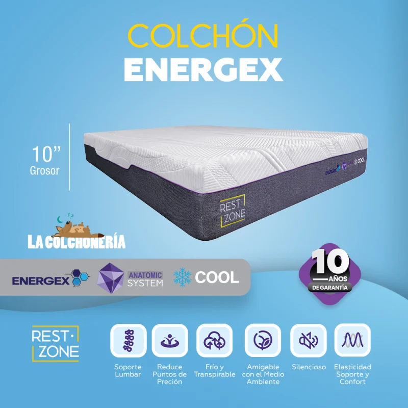 Energex copy